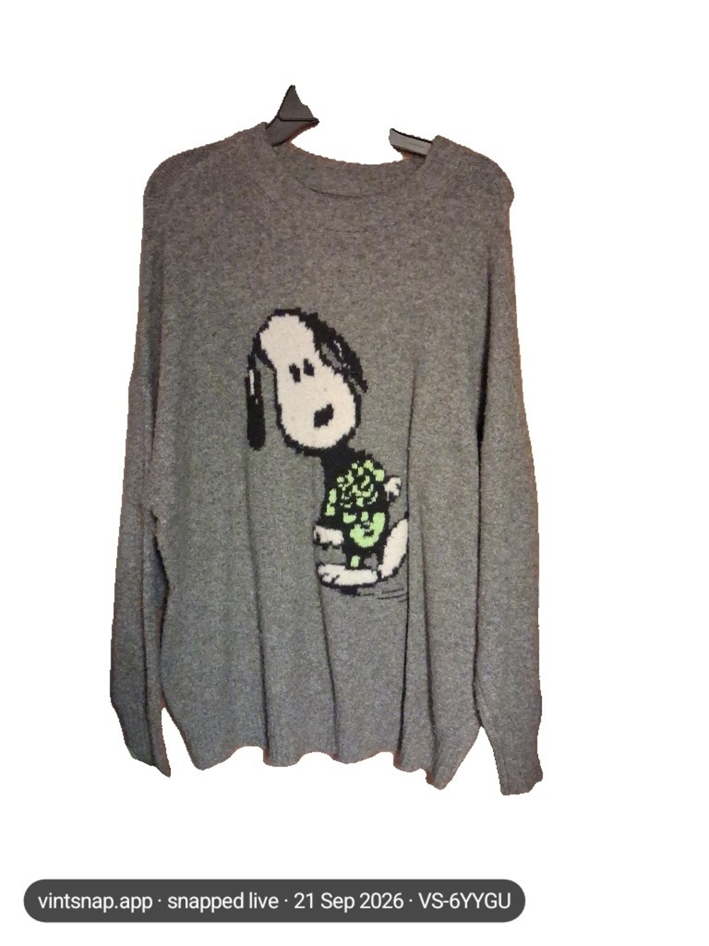 American Eagle Outfitters Gray Snoopy Graphic Crewneck Sweater with Green Accent